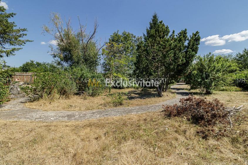 Domeniu privat 5.000 mp, cu reședință de 625 mp și piscină, Corbeanca - 41