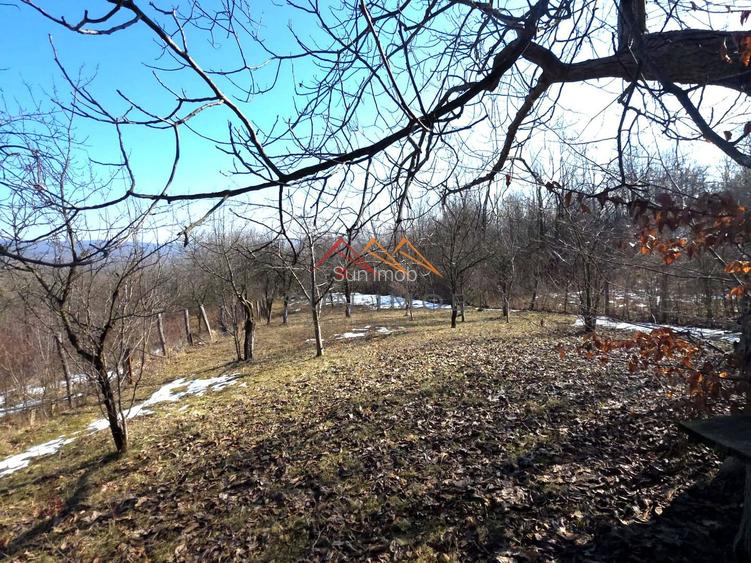 CASĂ INDIVIDUALĂ CU LIVADĂ | 2.195 MP TEREN | POIANA CÂMPINA - 38