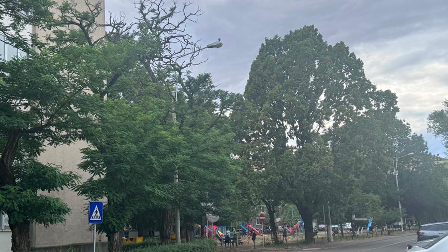 Ap 3 cam. de închiriat, Splaiul Crișanei-AP1529