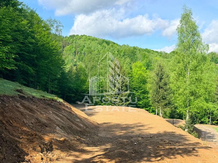 Oportunitate! Domeniu montan, cu lac propriu, oras Lupeni, Hunedoara - 26