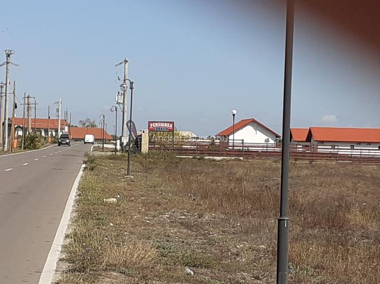 IN INIMA DELTEI-INTRAVILAN MURIGHIOL: 2000mp / case de vacanta/pensiunii - 2