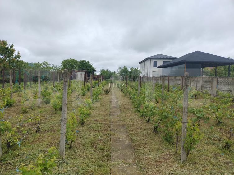 Teren utilități, 1.236 mp, 16.6 m deschidere, zona Cârcea - 3