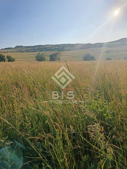 Teren 53 ari în Galații Bistriței -10.000 euro (188/ar)