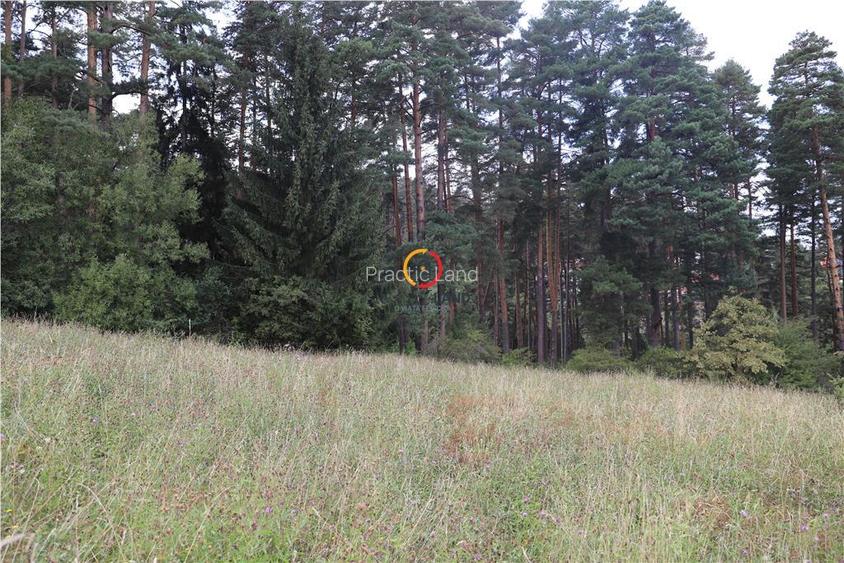 teren intravilan cu PUZ si PUD 2 loturi - 6
