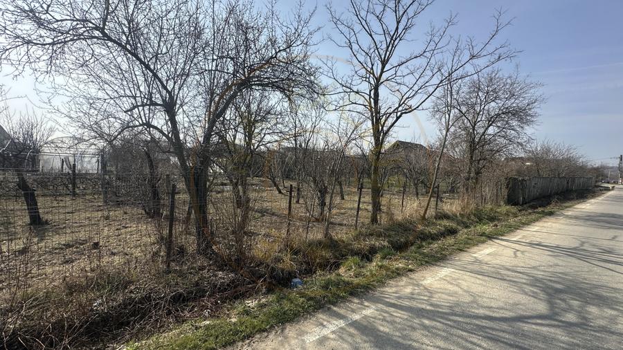 Parcele de 400 mp intravilan str. Olteni, Mosoaia, Arges