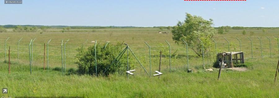 Vindem 10 Ha teren,fosta livadă de afine,Sintea Mare,Arad Oportunitate Unica