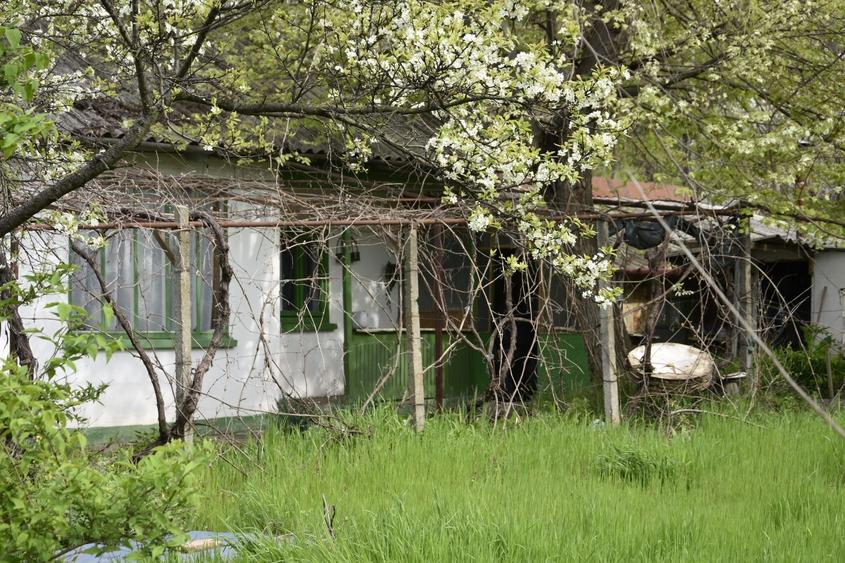 CASĂ TRADIȚIONALĂ CU GRĂDINĂ GENEROASĂ ȘI VIE – ISACCEA, JUD. TULCEA