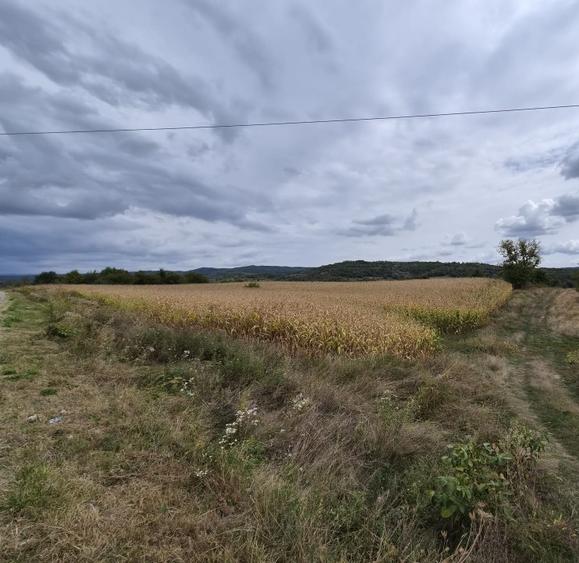 4 ha Drăghici–Mihăești | 3 ha teren + 1 ha pădure | asfalt |toate utilitățile
