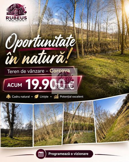 Oportunitate rară! 1 ha pădure Corcova – teren cu potențial real