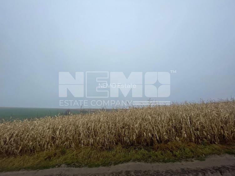 TEREN EXTRAVILAN | DOUA PARCELE 2.84 HA| DARMANESTI - 19