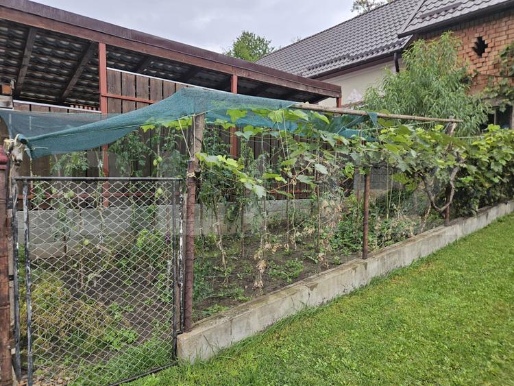 Casa la cheie, teren de 1600 mp, schimb cu apartament!