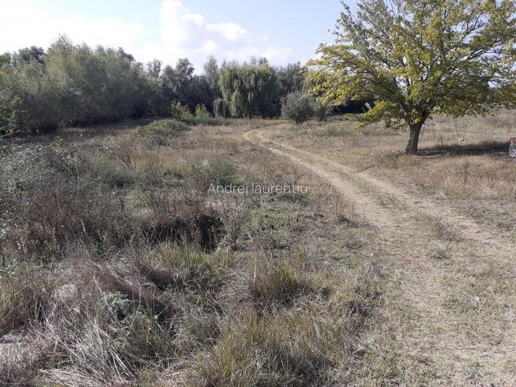 OCAZIE:Teren intravilan Tulcea-19euro/m.p. - 6