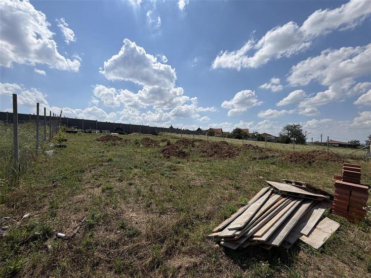 TEREN INTRAVILAN 586 MP | ZONA PALEU | BIHOR