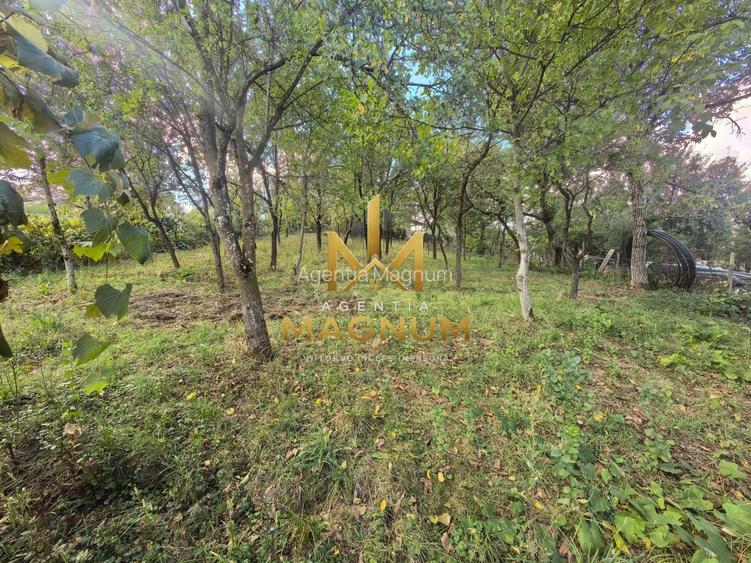 Casă de vânzare în Dumbrăvița, Maramureș  0% comision - 8