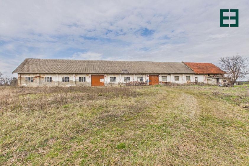 Teren de 8.632 mp + Proprietate Industrială - Voiteg - Județul Timiș - 3