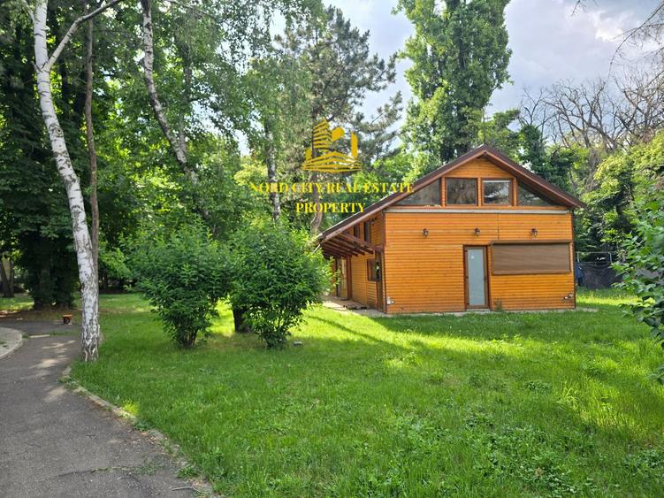 Spatiu comercial Parcul Herastrau-Restaurant Cafeanea-Vanzare-Asociere