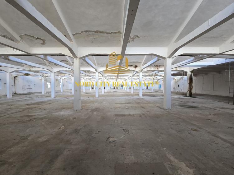 Platforma Industriala-8 ha -Fabrica-Hale Productie-21.500 mp