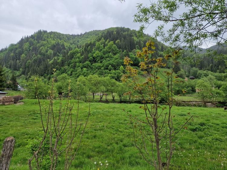 Teren intravilan - Rucar - Satic - 1775 mp - la strada principala - deschidere