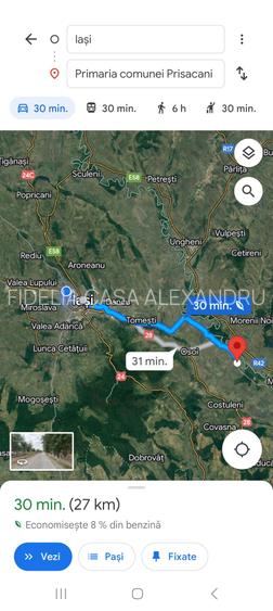 Teren pentru constructii case de vanzare Iasi Prisacani - 8