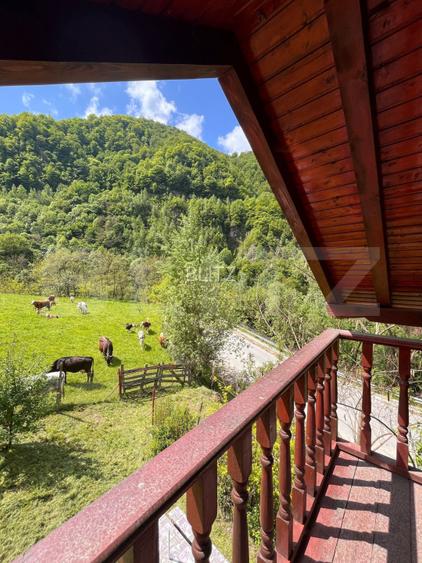 Casa de vacanta cu 4 camere, 1470 mp teren, Sugag - 4