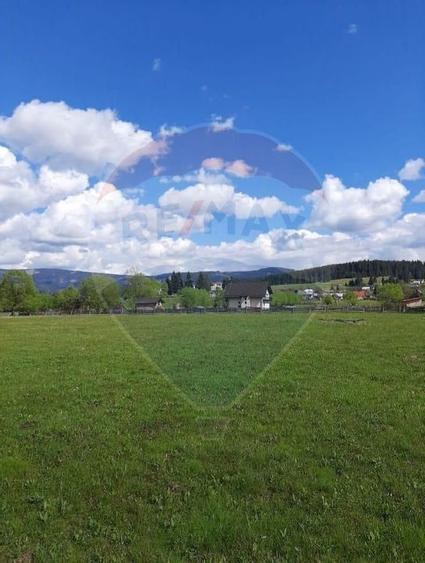 Vanzare Teren 13.650 mp , Suceava / com.Dorna Arini