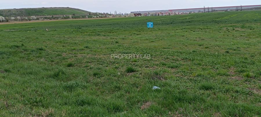 Teren intravilan 35.000 mp – Șag - 6