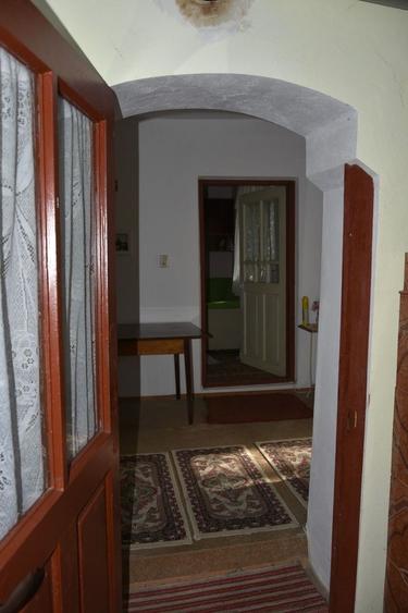CASĂ TRADIȚIONALĂ CU GRĂDINĂ GENEROASĂ ȘI VIE – ISACCEA, JUD. TULCEA