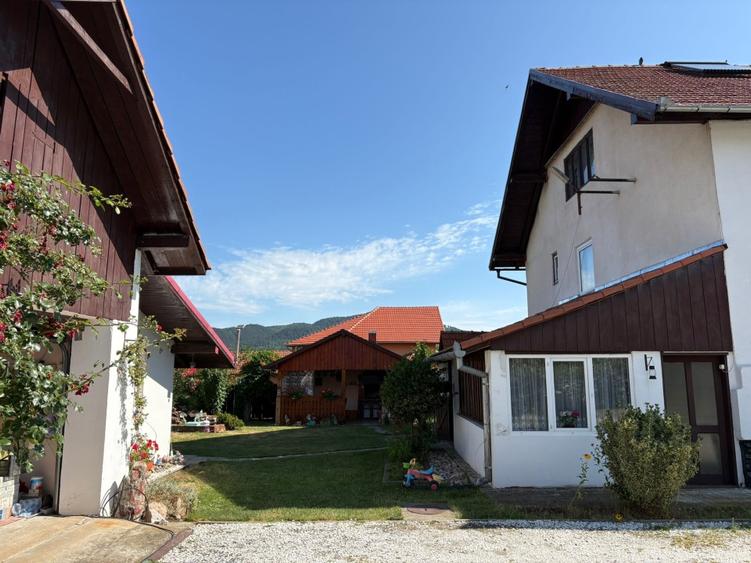 Casă Spațioasă și Domeniu Generos de Vânzare în sat Râu Barbat, comuna Pui, HD