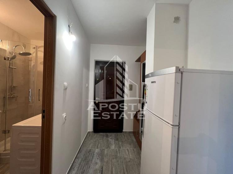 Apartament cu 1 cameră de vânzare , Zona Lipovei , Timișoara