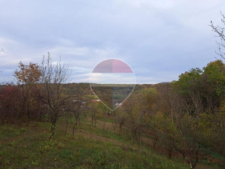 Teren intravilan 3500mp | Cotofenesti, Prahova