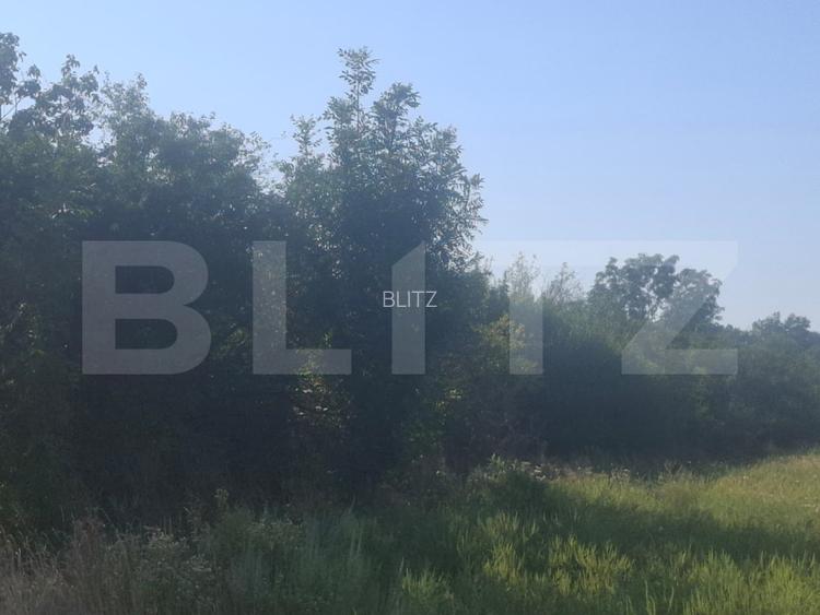 Teren extravilan de vaznare, 5000 mp, zona Matasaru - 2