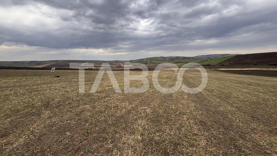 OPORTUNITATE INVESTITIE Teren de vanzare Sura Mare 24000 mp