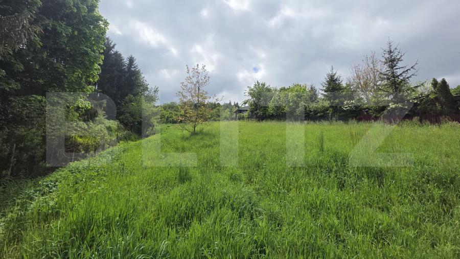 Teren intravilan de vânzare, 2293 mp | Valea Jelnei