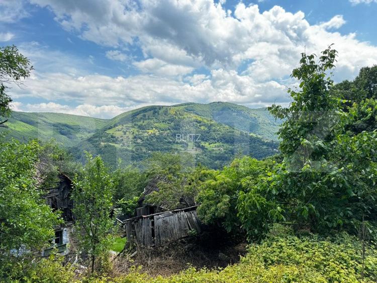 Casă la munte cu teren generos de 9340mp în zona Căpâlna - Valea Sebeșului - 2