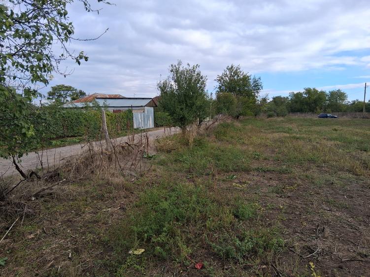 Teren 2262mp lac Dorobantu cu potențial pentru construcții