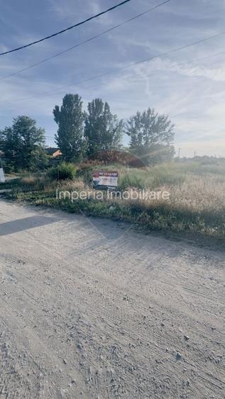 1040 mp, front 23ml, deschidere 2 strazi,  Cernele - 8