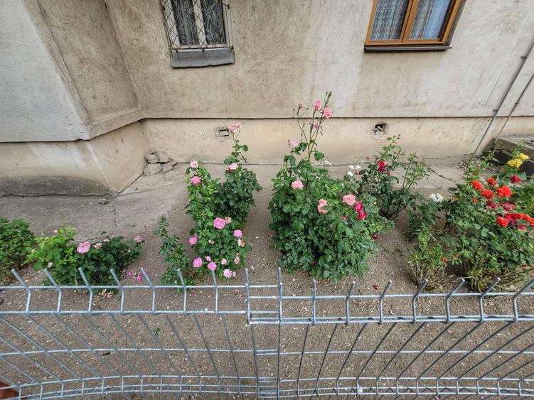 Oltenita-Jud. Calarasi-Apartament 3 camere decomandat