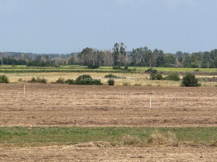 vand teren autostrada Bucurest Pitesti A1 30000 mp (3ha) cu deschidere la A1