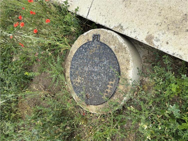Teren- Mosnita Noua- Toate utilitatile+ strada betonata - 3