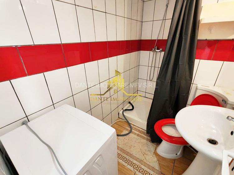 1 camera, loft, modern, proaspat renovat, curte, Grigorescu, Donath - 7