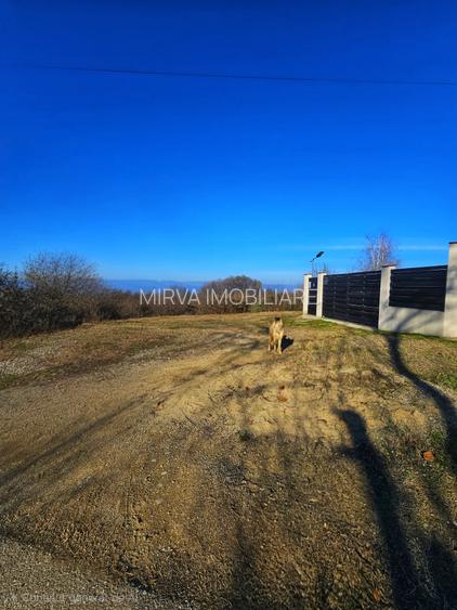 Teren intravilan 2.000 mp – Seciu, 2 deschideri, Priveliște panoramica - 3
