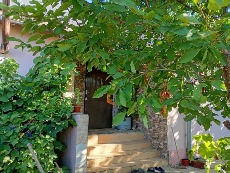 Vind casă nouă mansardă cu pomi fructiferi vita de vie cu 4 camerei baie buc