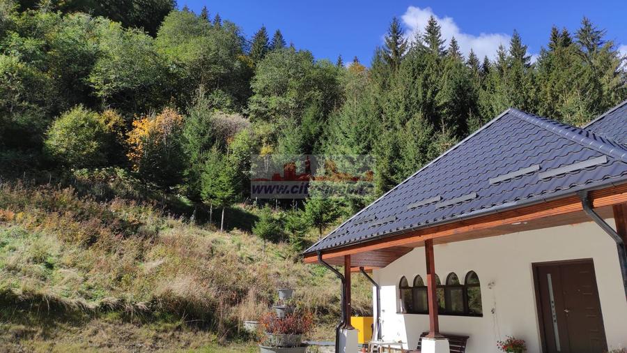 Vanzare Pensiune , Casa ,  Rezervatia Piatra Craiului / Satic, Arges