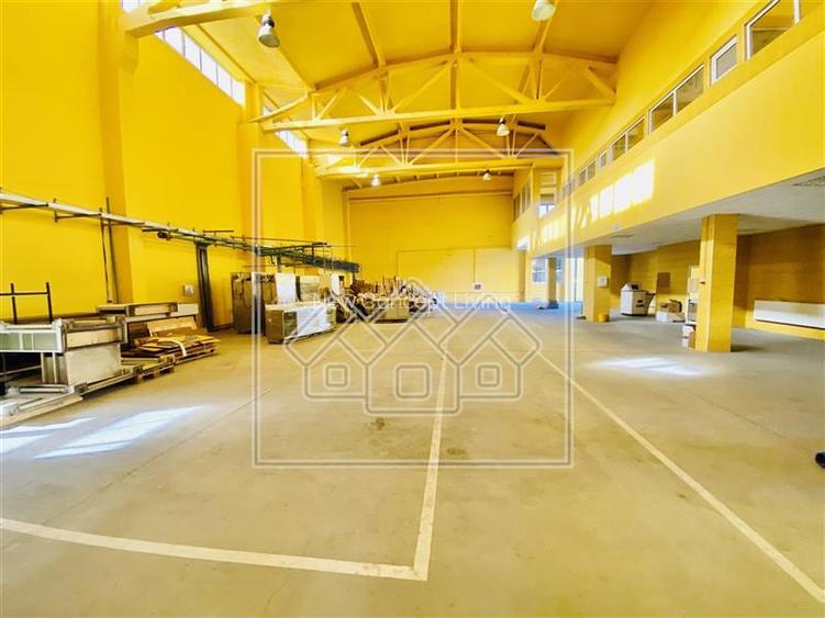 Spatiu industrial si de birouri in zona Terezian - finisaje moderne - 3