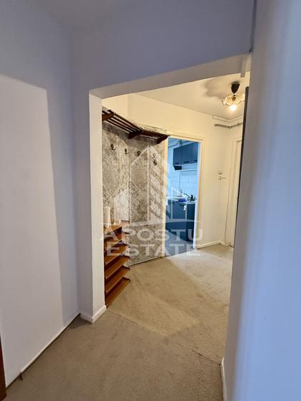 Apartament 3 camere, pet-friendly, de inchiriat, Dambovita, Timisoara