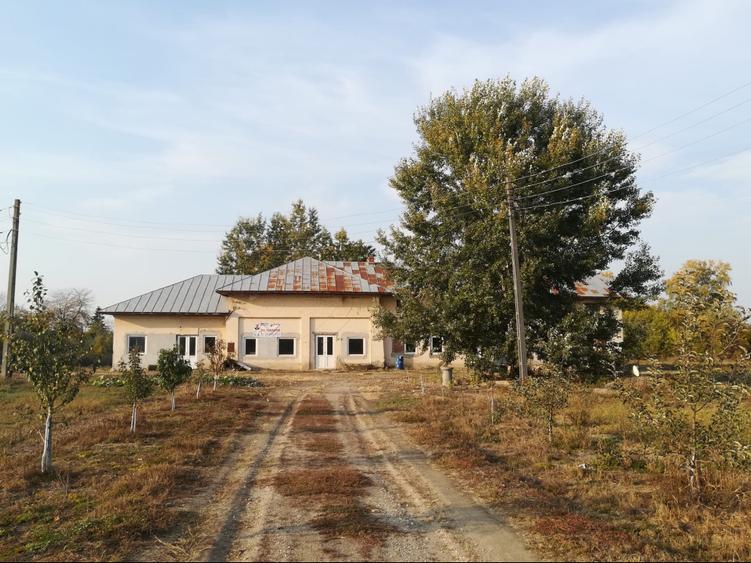 Teren intravilan 25255  m² - Central
