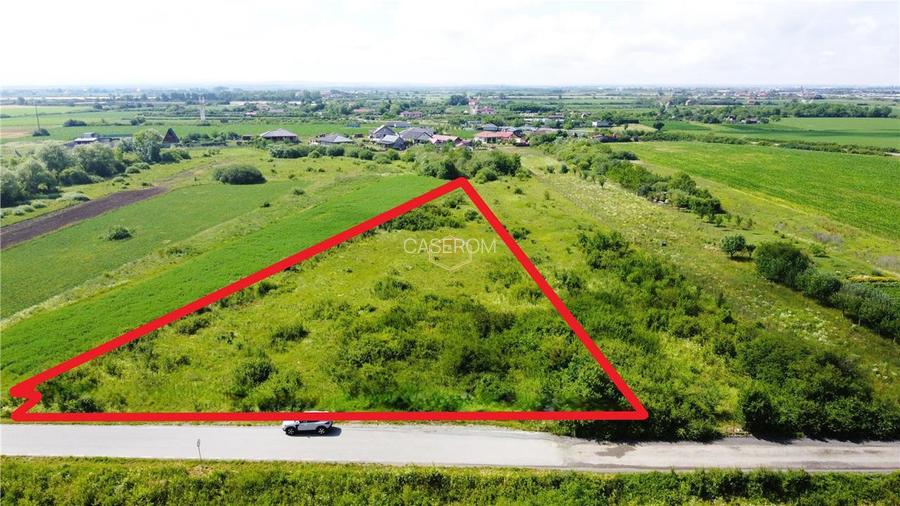 Investitie | Teren 4.030 m² in Satu Mare | Amatiului - Drum asfaltat - 6
