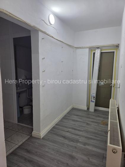 SPAȚIU COMERCIAL DE ÎNCHIRIAT LA MAȘNIȚĂ - 13
