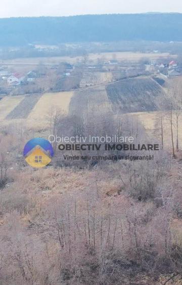 Teren INTRAVILAN 10.515 mp - BODEȘTI, judetul NEAMȚ - 10