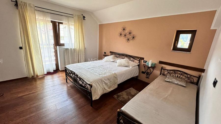 Casa de vacanta-pensiune - 23